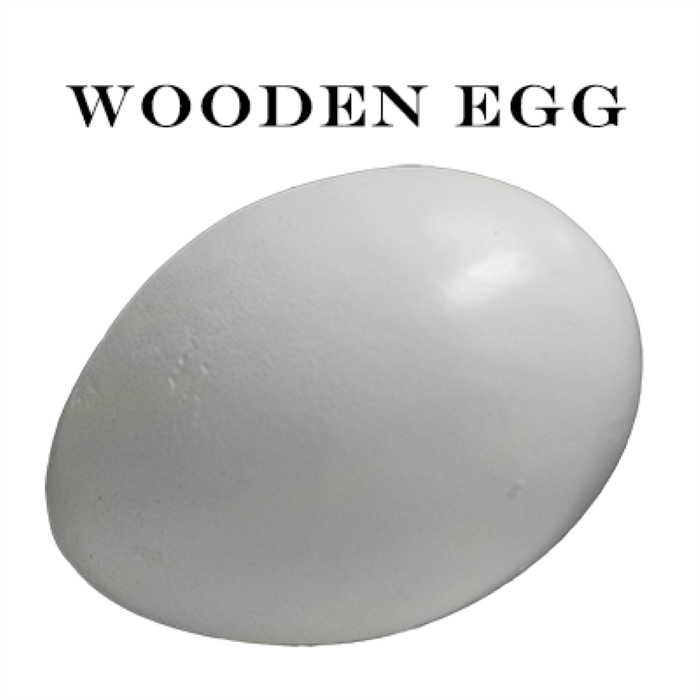 Wooden Egg - This is an Excellent Prop for the Magician!